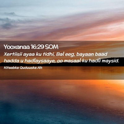 Picture 02 - Yooxanaa 16:29 SOM - Xertiisii ayaa ku tidhi, Bal eeg, bayaan baad - Bible Verse Picture