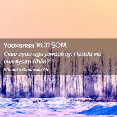 Picture 02 - Yooxanaa 16:31 SOM - Ciise ayaa ugu jawaabay, Hadda ma rumaysan - Bible Verse Picture