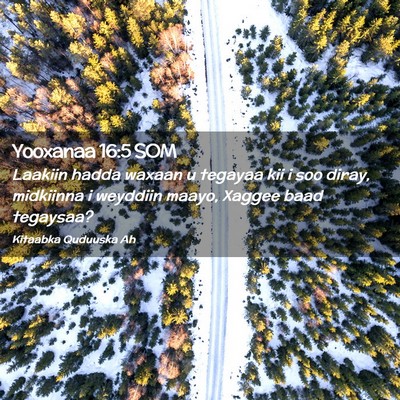 Picture 02 - Yooxanaa 16:5 SOM - Laakiin hadda waxaan u tegayaa kii i soo diray, - Bible Verse Picture