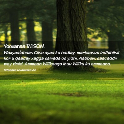 Picture 02 - Yooxanaa 17:1 SOM - Waxyaalahaas Ciise ayaa ku hadlay, markaasuu - Bible Verse Picture