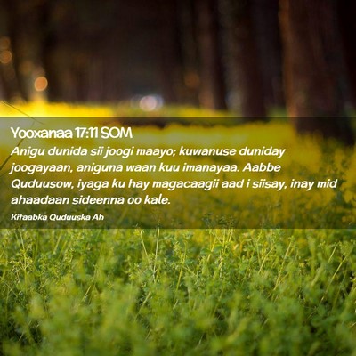Picture 02 - Yooxanaa 17:11 SOM - Anigu dunida sii joogi maayo; kuwanuse duniday - Bible Verse Picture