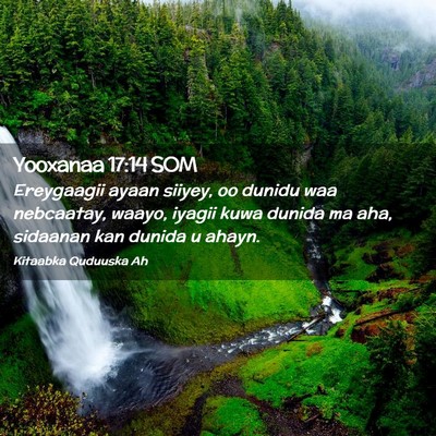 Picture 02 - Yooxanaa 17:14 SOM - Ereygaagii ayaan siiyey, oo dunidu waa nebcaatay, - Bible Verse Picture