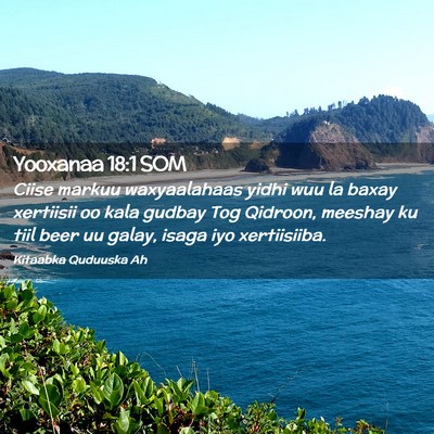 Picture 02 - Yooxanaa 18:1 SOM - Ciise markuu waxyaalahaas yidhi wuu la baxay - Bible Verse Picture