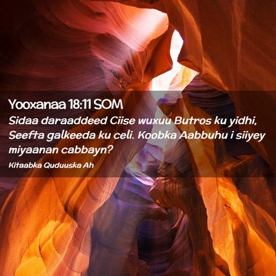 Picture 02 - Yooxanaa 18:11 SOM - Sidaa daraaddeed Ciise wuxuu Butros ku yidhi, - Bible Verse Picture