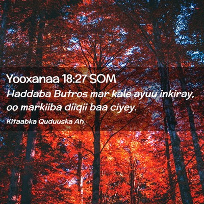 Picture 02 - Yooxanaa 18:27 SOM - Haddaba Butros mar kale ayuu inkiray, oo markiiba - Bible Verse Picture