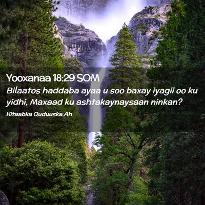 Picture 02 - Yooxanaa 18:29 SOM - Bilaatos haddaba ayaa u soo baxay iyagii oo ku - Bible Verse Picture