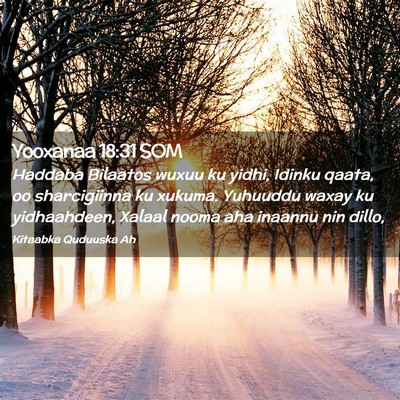 Picture 02 - Yooxanaa 18:31 SOM - Haddaba Bilaatos wuxuu ku yidhi, Idinku qaata, oo - Bible Verse Picture