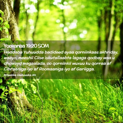 Picture 02 - Yooxanaa 19:20 SOM - Haddaba Yuhuudda badideed ayaa qorniinkaas - Bible Verse Picture
