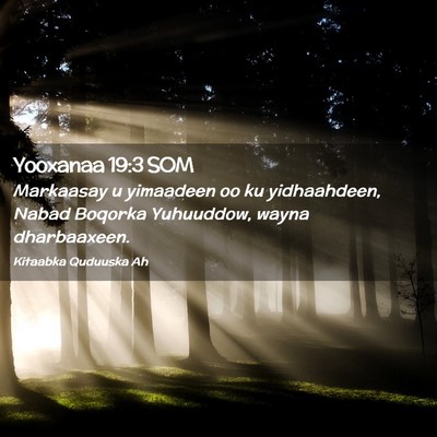 Picture 02 - Yooxanaa 19:3 SOM - Markaasay u yimaadeen oo ku yidhaahdeen, Nabad - Bible Verse Picture