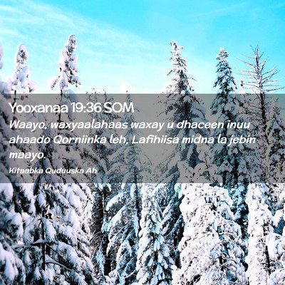 Picture 02 - Yooxanaa 19:36 SOM - Waayo, waxyaalahaas waxay u dhaceen inuu ahaado - Bible Verse Picture