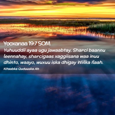 Picture 02 - Yooxanaa 19:7 SOM - Yuhuuddii ayaa ugu jawaabtay, Sharci baannu - Bible Verse Picture