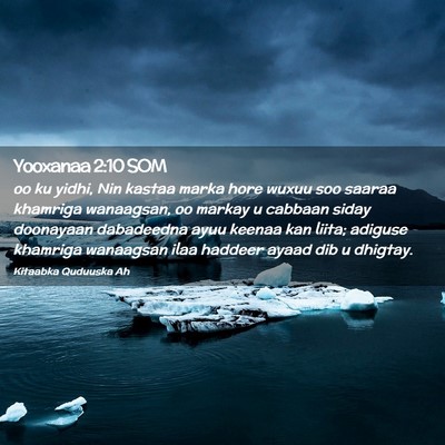 Picture 02 - Yooxanaa 2:10 SOM - oo ku yidhi, Nin kastaa marka hore wuxuu soo - Bible Verse Picture