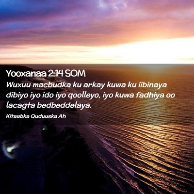 Picture 02 - Yooxanaa 2:14 SOM - Wuxuu macbudka ku arkay kuwa ku iibinaya dibiyo - Bible Verse Picture