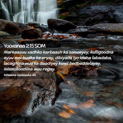 Picture 02 - Yooxanaa 2:15 SOM - Markaasuu xadhko karbaash ka sameeyey, - Bible Verse Picture