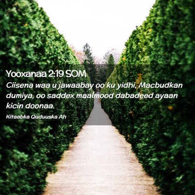 Picture 02 - Yooxanaa 2:19 SOM - Ciisena waa u jawaabay oo ku yidhi, Macbudkan - Bible Verse Picture