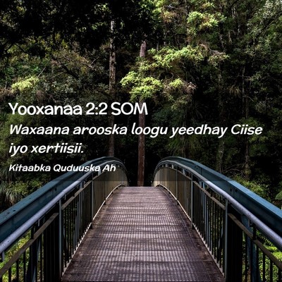 Picture 02 - Yooxanaa 2:2 SOM - Waxaana arooska loogu yeedhay Ciise iyo - Bible Verse Picture