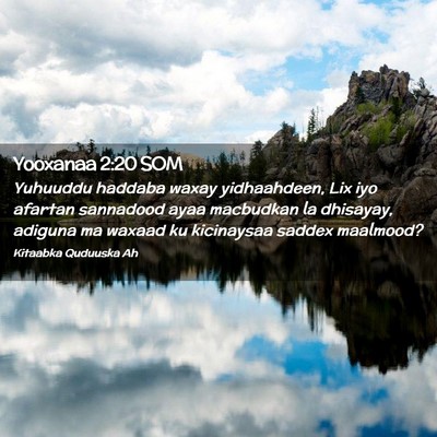 Picture 02 - Yooxanaa 2:20 SOM - Yuhuuddu haddaba waxay yidhaahdeen, Lix iyo - Bible Verse Picture