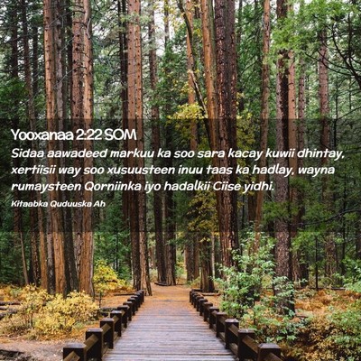 Picture 02 - Yooxanaa 2:22 SOM - Sidaa aawadeed markuu ka soo sara kacay kuwii - Bible Verse Picture