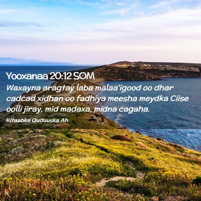 Picture 02 - Yooxanaa 20:12 SOM - Waxayna aragtay laba malaa'igood oo dhar cadcad - Bible Verse Picture