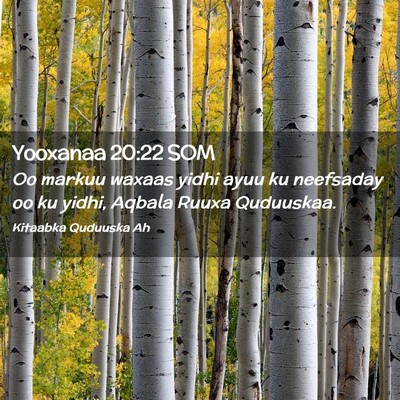 Picture 02 - Yooxanaa 20:22 SOM - Oo markuu waxaas yidhi ayuu ku neefsaday oo ku - Bible Verse Picture