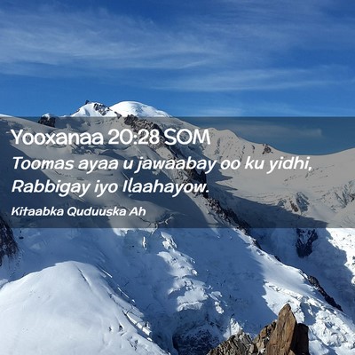 Picture 02 - Yooxanaa 20:28 SOM - Toomas ayaa u jawaabay oo ku yidhi, Rabbigay iyo - Bible Verse Picture
