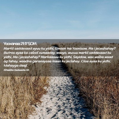 Picture 02 - Yooxanaa 21:17 SOM - Markii saddexaad ayuu ku yidhi, Simoon ina - Bible Verse Picture