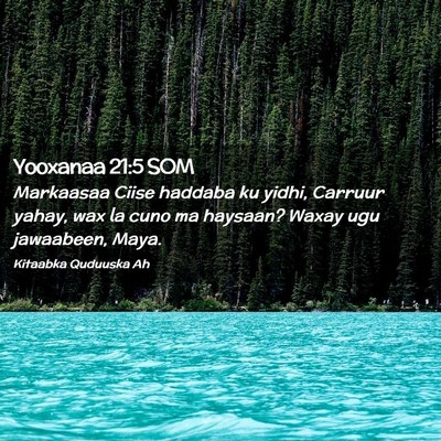 Picture 02 - Yooxanaa 21:5 SOM - Markaasaa Ciise haddaba ku yidhi, Carruur yahay, - Bible Verse Picture