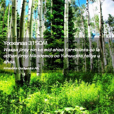 Picture 02 - Yooxanaa 3:1 SOM - Waxaa jiray nin ka mid ahaa Farrisiinta oo la - Bible Verse Picture