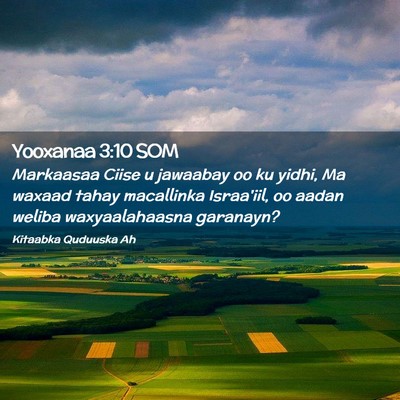 Picture 02 - Yooxanaa 3:10 SOM - Markaasaa Ciise u jawaabay oo ku yidhi, Ma waxaad - Bible Verse Picture