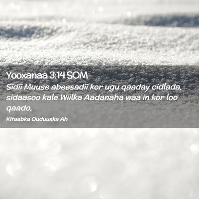 Picture 02 - Yooxanaa 3:14 SOM - Sidii Muuse abeesadii kor ugu qaaday cidlada, - Bible Verse Picture