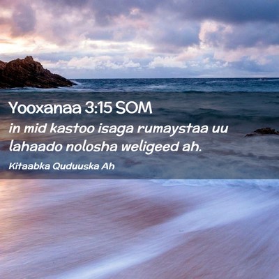 Picture 02 - Yooxanaa 3:15 SOM - in mid kastoo isaga rumaystaa uu lahaado nolosha - Bible Verse Picture