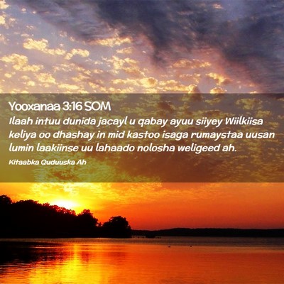 Picture 02 - Yooxanaa 3:16 SOM - Ilaah intuu dunida jacayl u qabay ayuu siiyey - Bible Verse Picture
