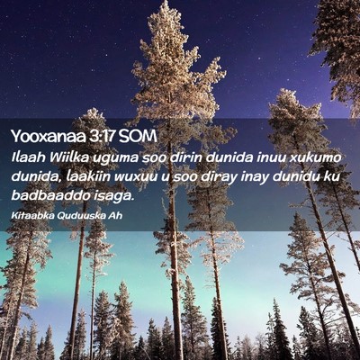 Picture 02 - Yooxanaa 3:17 SOM - Ilaah Wiilka uguma soo dirin dunida inuu xukumo - Bible Verse Picture