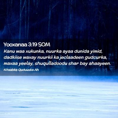 Picture 02 - Yooxanaa 3:19 SOM - Kanu waa xukunka, nuurka ayaa dunida yimid, - Bible Verse Picture