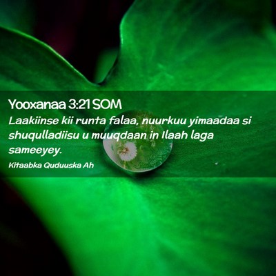 Picture 02 - Yooxanaa 3:21 SOM - Laakiinse kii runta falaa, nuurkuu yimaadaa si - Bible Verse Picture