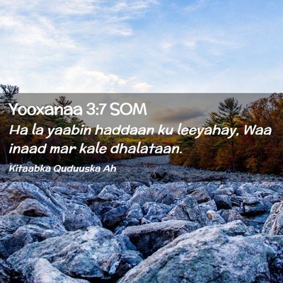 Picture 02 - Yooxanaa 3:7 SOM - Ha la yaabin haddaan ku leeyahay, Waa inaad mar - Bible Verse Picture