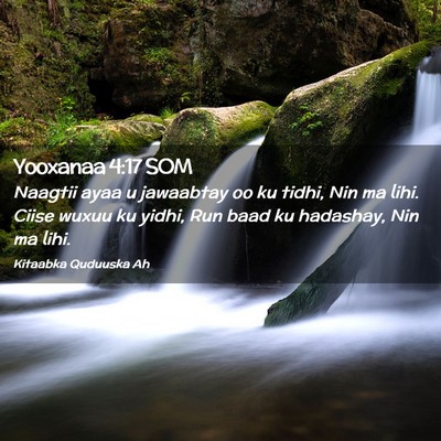 Picture 02 - Yooxanaa 4:17 SOM - Naagtii ayaa u jawaabtay oo ku tidhi, Nin ma - Bible Verse Picture