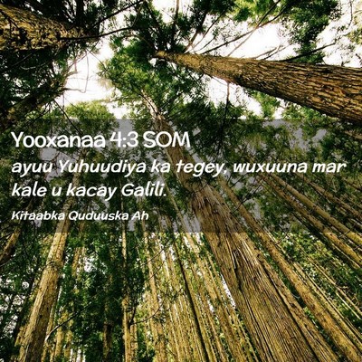 Picture 02 - Yooxanaa 4:3 SOM - ayuu Yuhuudiya ka tegey, wuxuuna mar kale u kacay - Bible Verse Picture
