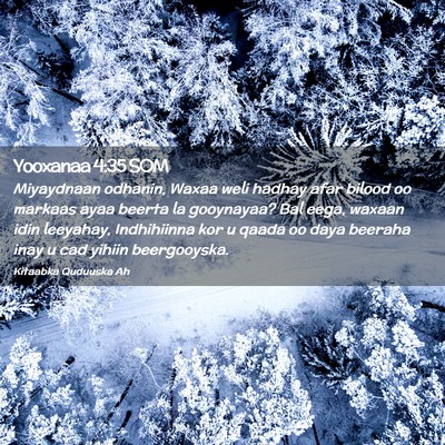 Picture 02 - Yooxanaa 4:35 SOM - Miyaydnaan odhanin, Waxaa weli hadhay afar bilood - Bible Verse Picture