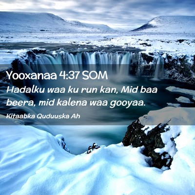 Picture 02 - Yooxanaa 4:37 SOM - Hadalku waa ku run kan, Mid baa beera, mid kalena - Bible Verse Picture