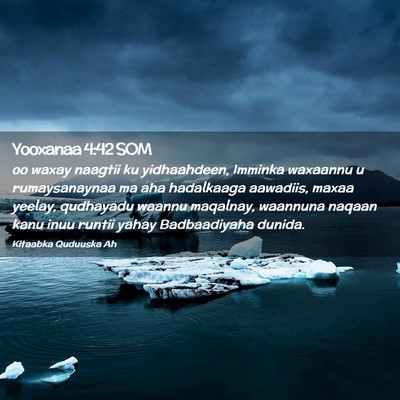 Picture 02 - Yooxanaa 4:42 SOM - oo waxay naagtii ku yidhaahdeen, Imminka waxaannu - Bible Verse Picture