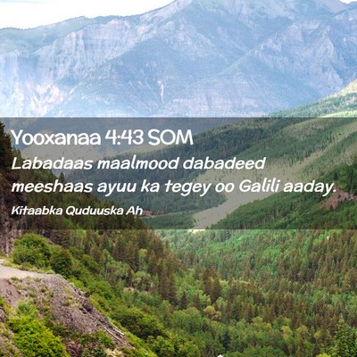 Picture 02 - Yooxanaa 4:43 SOM - Labadaas maalmood dabadeed meeshaas ayuu ka tegey - Bible Verse Picture