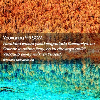 Picture 02 - Yooxanaa 4:5 SOM - Haddaba wuxuu yimid magaalada Samaariya, oo - Bible Verse Picture