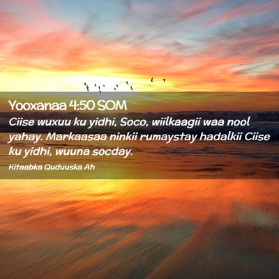 Picture 02 - Yooxanaa 4:50 SOM - Ciise wuxuu ku yidhi, Soco, wiilkaagii waa nool - Bible Verse Picture