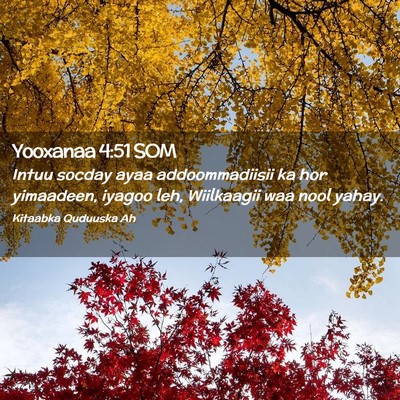 Picture 02 - Yooxanaa 4:51 SOM - Intuu socday ayaa addoommadiisii ka hor - Bible Verse Picture