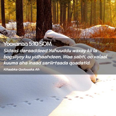 Picture 02 - Yooxanaa 5:10 SOM - Sidaas daraaddeed Yuhuuddu waxay kii la bogsiiyey - Bible Verse Picture
