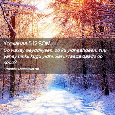 Picture 02 - Yooxanaa 5:12 SOM - Oo waxay weyddiiyeen, oo ku yidhaahdeen, Yuu - Bible Verse Picture