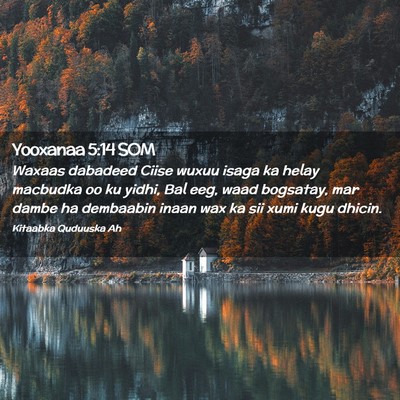 Picture 02 - Yooxanaa 5:14 SOM - Waxaas dabadeed Ciise wuxuu isaga ka helay - Bible Verse Picture