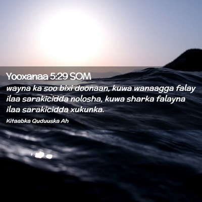 Picture 02 - Yooxanaa 5:29 SOM - wayna ka soo bixi doonaan, kuwa wanaagga falay - Bible Verse Picture
