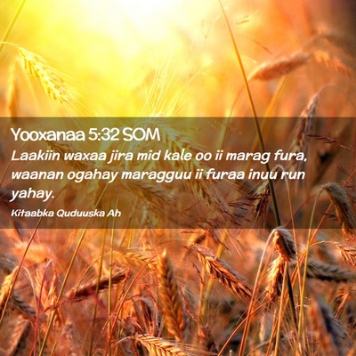 Picture 02 - Yooxanaa 5:32 SOM - Laakiin waxaa jira mid kale oo ii marag fura, - Bible Verse Picture